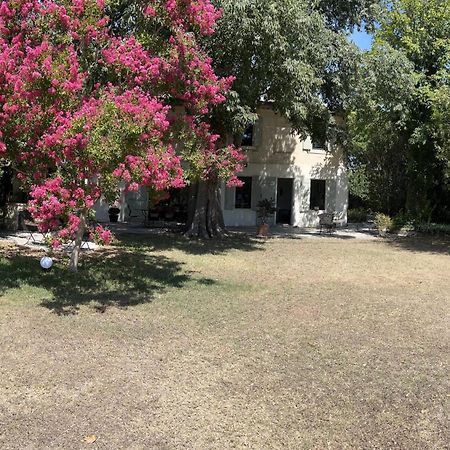 Alpilles Camargue Mas Falabrego Raphèle Exterior foto
