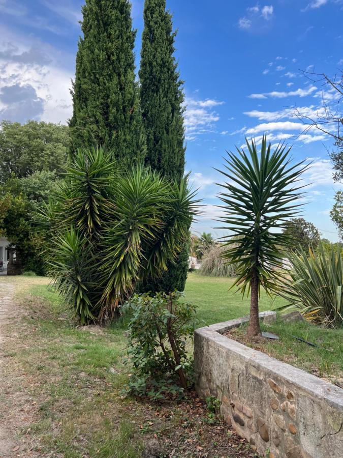 Alpilles Camargue Mas Falabrego Raphèle Exterior foto