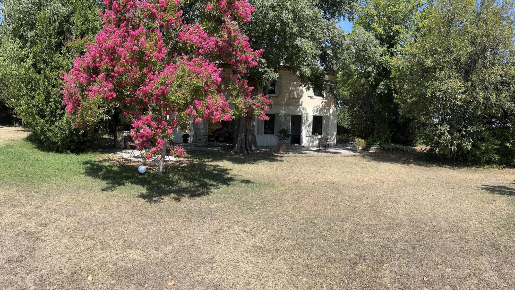Alpilles Camargue Mas Falabrego Raphèle Exterior foto